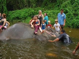 Amazing kuala gandah elephant sanctuary tour. TOUR PACKAGE : KUALA GANDAH PAHANG - ELEPHANT SANCTUARY