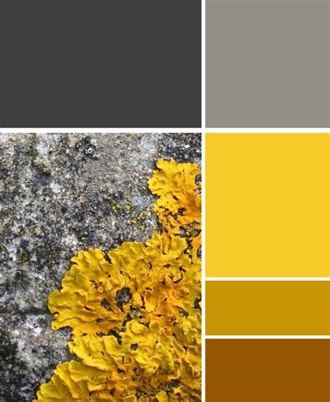 Simple What Colors Go With Grey And Yellow For Small Space Home