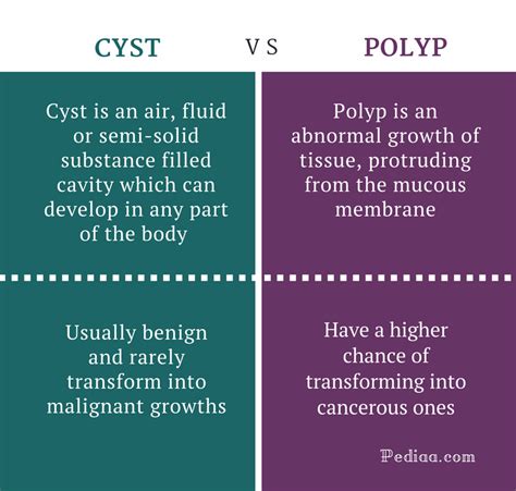 Difference Between Cyst And Polyp Features Causes Symptoms