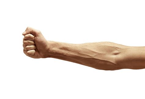 Arm Veins Stock Photos Pictures And Royalty Free Images Istock