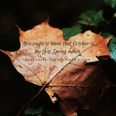 You Ought To Know That October Is The First Spring Month Karel