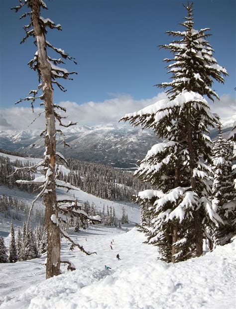 Whistler Blackcomb Bc Have Been To Whistler In The Summer But A Ski