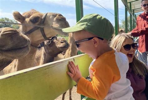Meet The Animals Petting Zoos Animal Farms And Animal Sanctuaries
