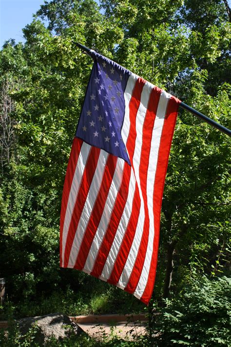 American Flag With Foliage In The Background Picture Free Photograph Photos Public Domain