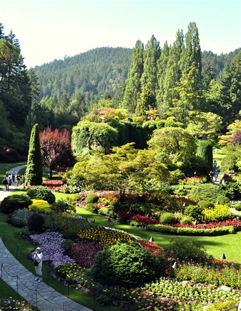 The Driveway Of Life The Butchart Gardens