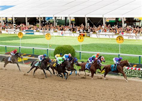 The preakness stakes is an american thoroughbred horse race held on the third saturday in may each year at pimlico race course in baltimore, maryland. Sell or Auction Your Original Preakness Stakes Owners ...