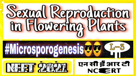 Sexual Reproduction In Flowering Plants Microsporogenesisfor Neet