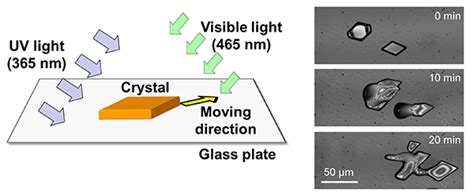 Discovery Of The Phenomenon Of Crystal Movement By Photoirradiation