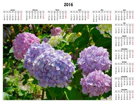 2016 Calendar Free Stock Photo - Public Domain Pictures