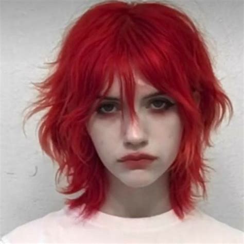 Draculaura Grunge Hair Hair Inspo Color Hair Inspiration