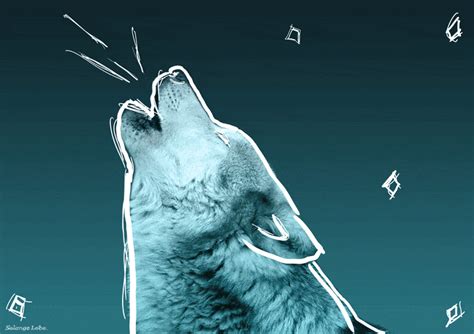 Cool Wallpapers Gif Wolf Infoupdate Org