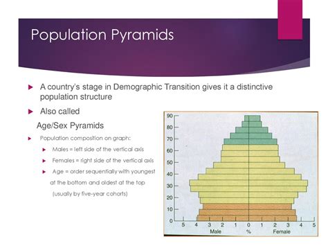 Unit 1 Population Part V Population Pyramids Ppt Download