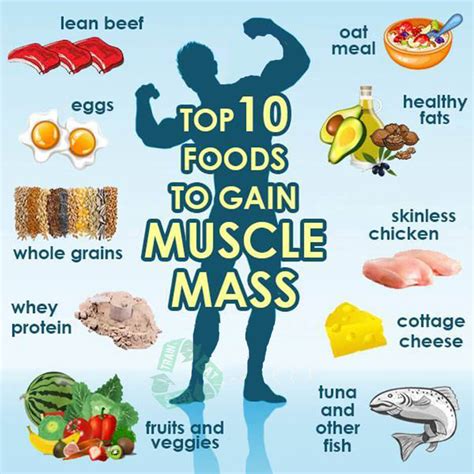 Top 10 Foods To Gain Muscle Mass Hardcore Fitness Tips Healthy