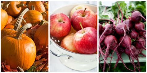 Harvest Foods Fall Dinner Recipes — Seasonal Fall Harvest Fruits And