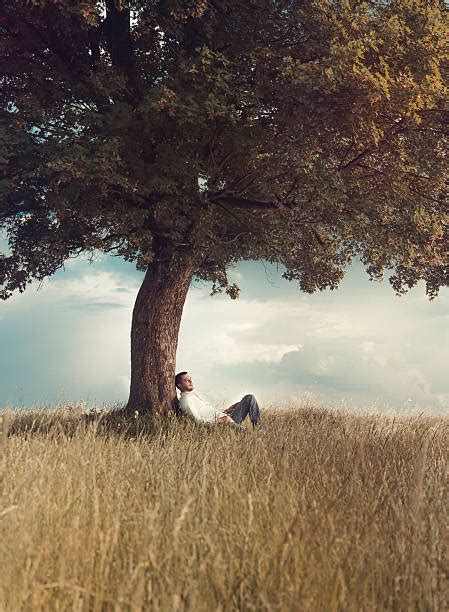 Sitting Under A Tree Pictures Images And Stock Photos Istock