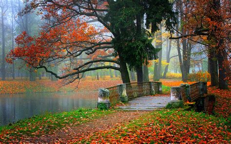 Small Bridge In Autumn Park