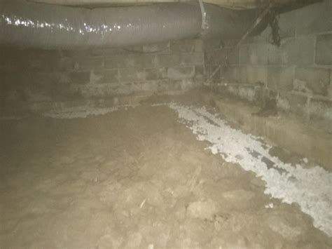 Crawl Space Repair Termite Damage In A Crawlspace In Lawrenceburg Ky