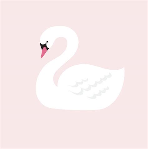 Black Swan Illustrations Royalty Free Vector Graphics And Clip Art Istock