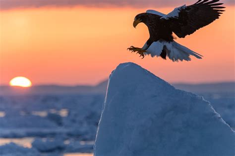 Las Fotografías Ganadoras Del Concurso De Viajeros De National