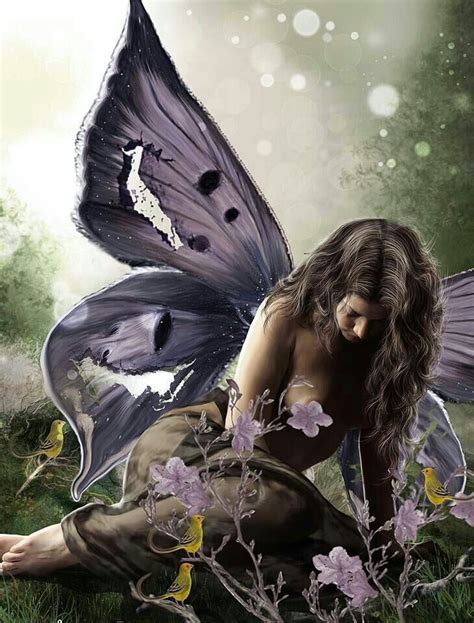 Torn And Tattered Fairy Art Fairy Pictures Butterfly Fairy