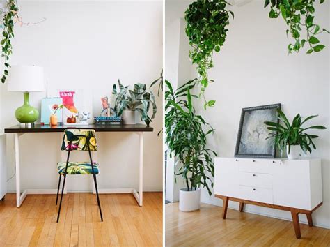 Y hablando de decoración minimalista tenemos aquí otra buena muestra. Decoración con plantas 70 fotos y consejos de interiores ...