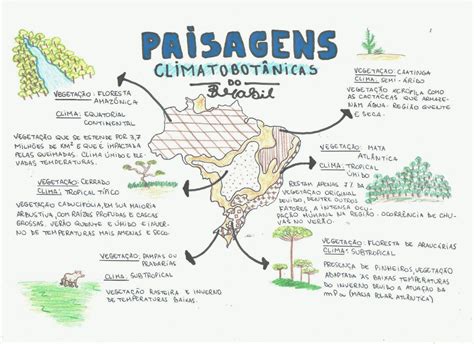 Mapa Mental Paisagens Climatobotânicas Vegetação Brasileira