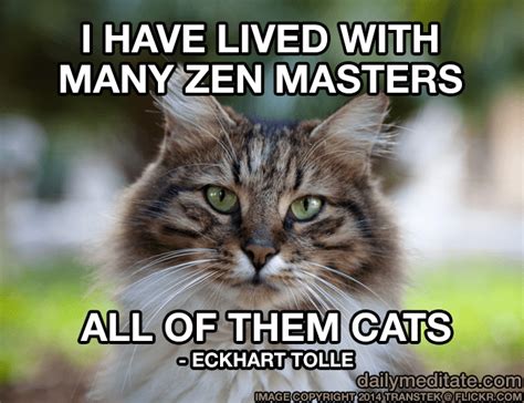 Meditation Quote 68 I Have Lived With Many Zen Masters All Of Them