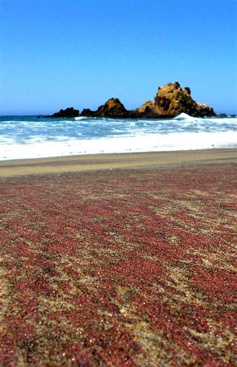 Pfeiffer Purple Sand Beach California Beach Sand Big Sur State Park
