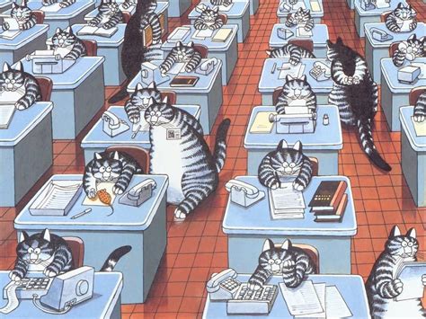Office Cat The Office Office Pool Chat Web Gatos Cool Kliban Cat
