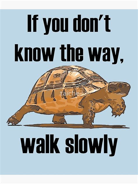 If You Dont Know The Way Walk Slowly Tortoise Poster By Taiche