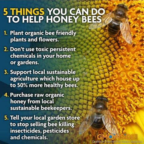 Save The Bees Honey Bee Honey Comb Pinterest