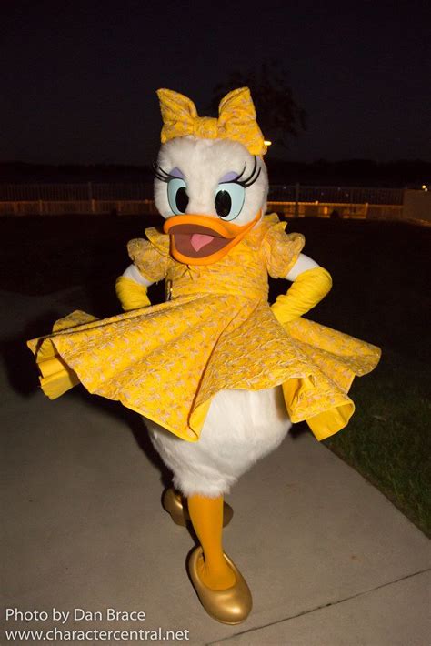 Daisy Duck At Disney Character Central Daisy Duck Disney World Characters Disney Characters