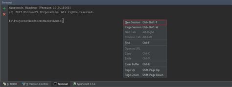 Solved How To Use Command Prompt After Ng Serve Was To Answer