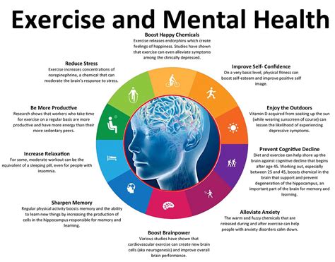 Pdf Mental Physical And Social Components In Leisure Activities