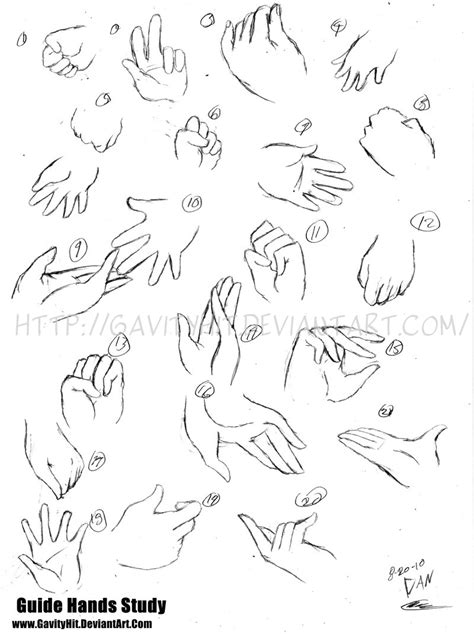 Hands Guide Study By Gh07 On Deviantart