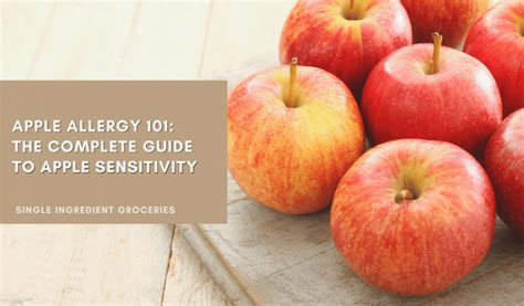 Apple Allergy 101 The Complete Guide On Apple Sensitivity Infographic