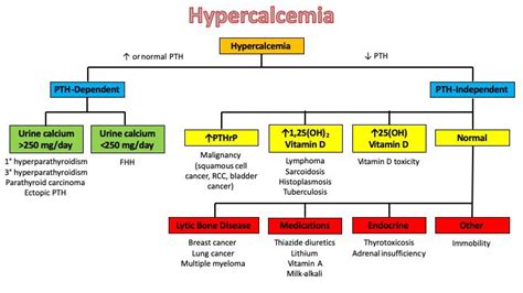 Hypercalcemia Workup And Differential Diagnosis Framework 1 Grepmed