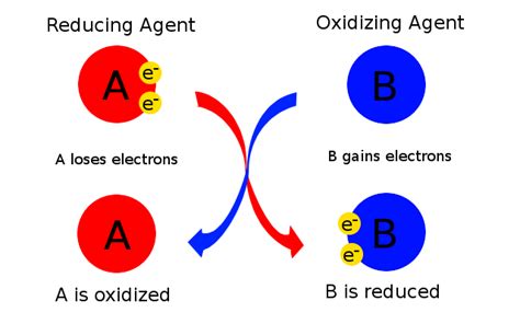 In A Redox Reaction The Substance That Accepts Electrons Is Said To Be