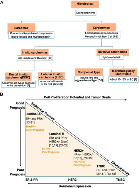 Frontiers Advanced Approaches To Breast Cancer Classification And