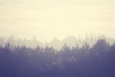 Free Images Landscape Tree Nature Forest Horizon Mountain