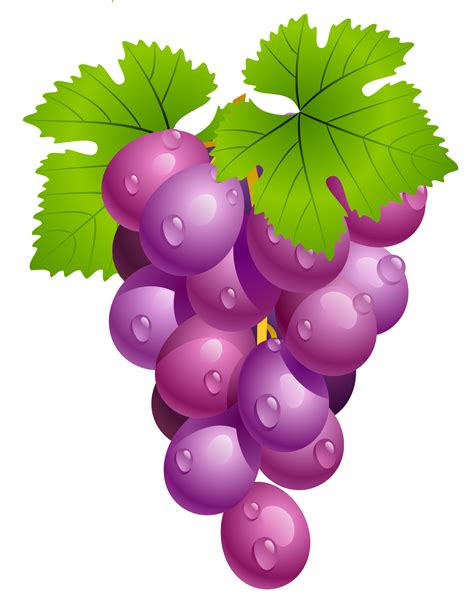 Grapes Clip Art Cliparts