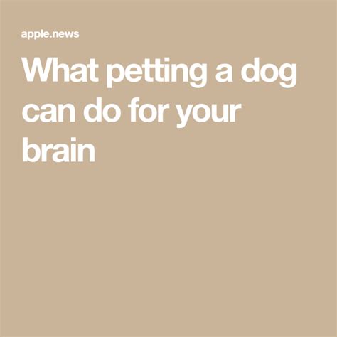 What Petting A Dog Can Do For Your Brain — Cnn In 2022 Pets Dogs
