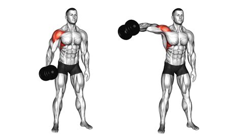 Single Arm Lateral Raise Muscle Worked Benefits Tips