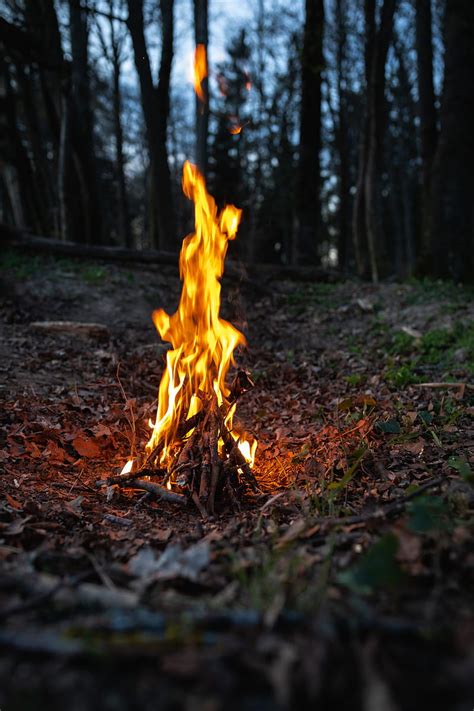 Fire Camping Flame Forest Nature Wood Hd Phone Wallpaper Peakpx