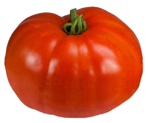 Tomato Beefmaster F1 Seeds Sandia Seed Company