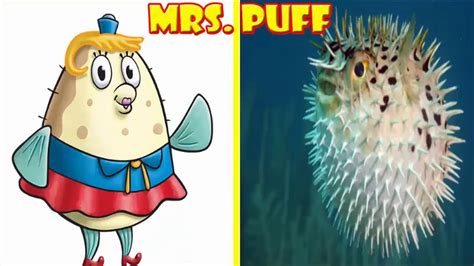 Spongebob Squarepants In Real Life 2017 Youtube