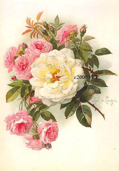Print Free Ship Victorian Morning Roses Paul De Longpre