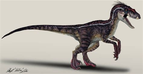 The Lost World Jurassic Park T Rex Male By Nikorex On Deviantart Velociraptor Jurassic Park