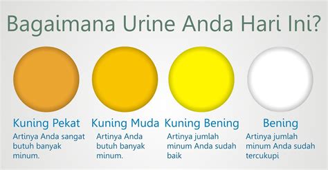 10 Tanda Kesehatan Berdasarkan Warna Urine - Tanda Kesehatan