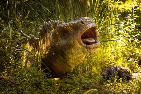 Dinosaur In A Swamp Free Stock Photo Public Domain Pictures